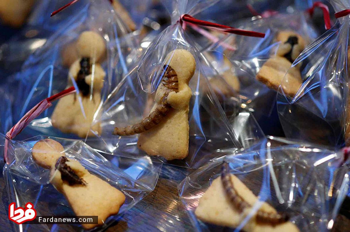 عکس: شیرینی عجیب ژاپنیها در روز ولنتاین!