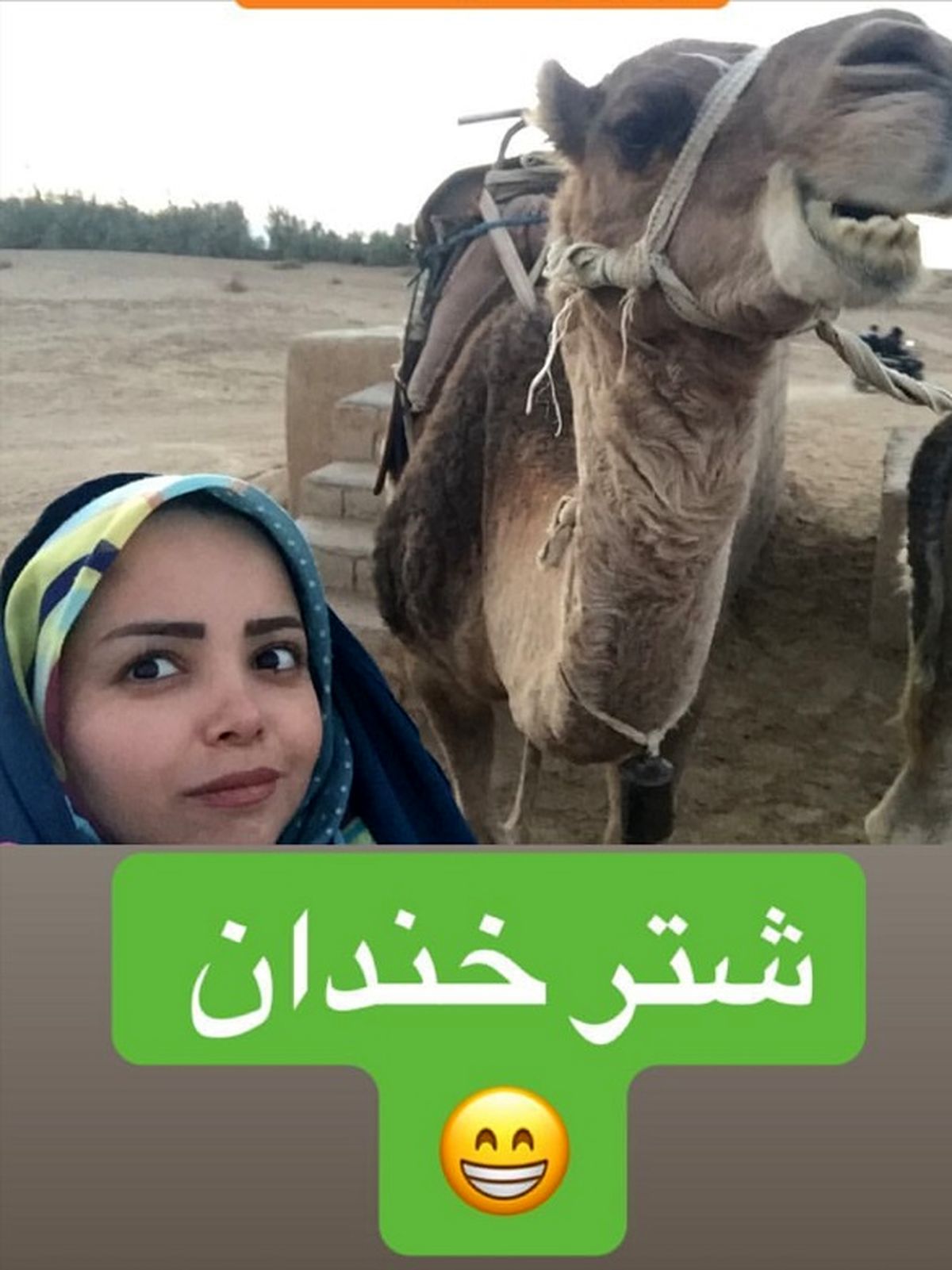 عکس: سلفی گوینده خبر با شتر خندان!