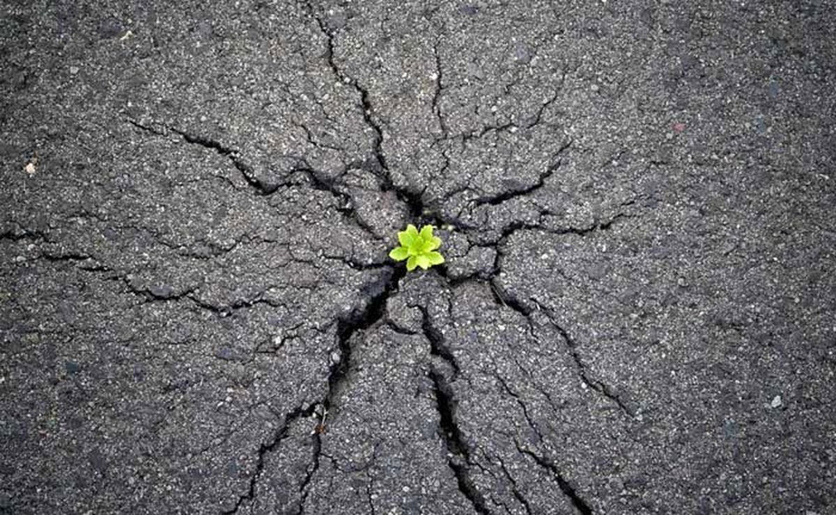عکس/ روزنه حیات
