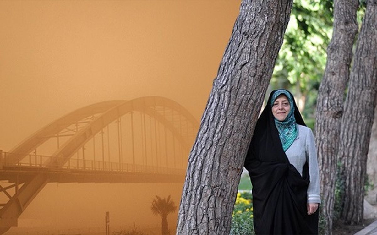 سایر کشورها برای مقابله با گردوغبار چه کرده‌اند؟/ ابتکار: برای مقابله با ریزگردها، دام هایتان را به چرا نبرید!