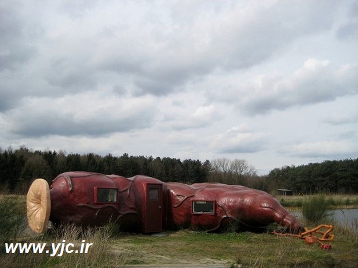 هتل گوارشی/ عکس