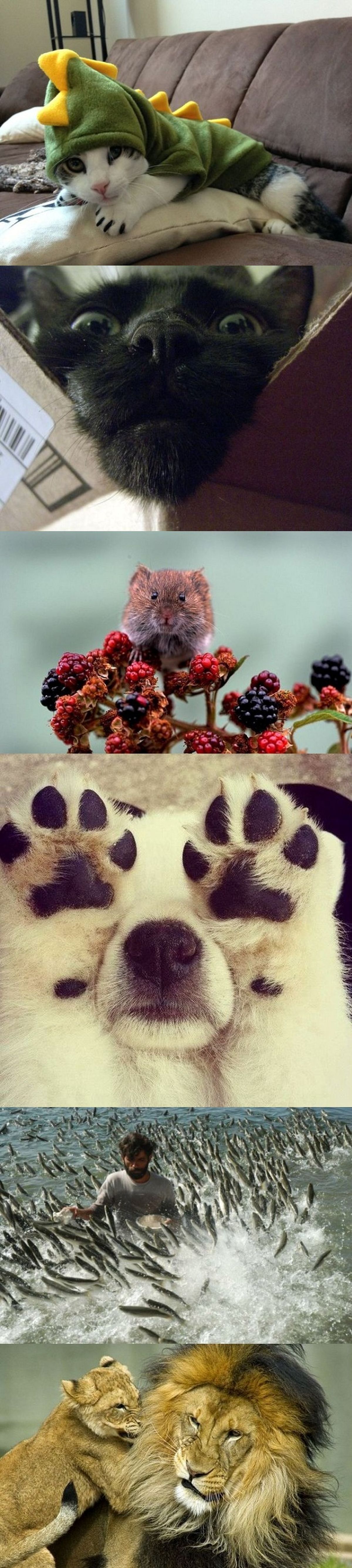 تصاویر/ بدون شرح