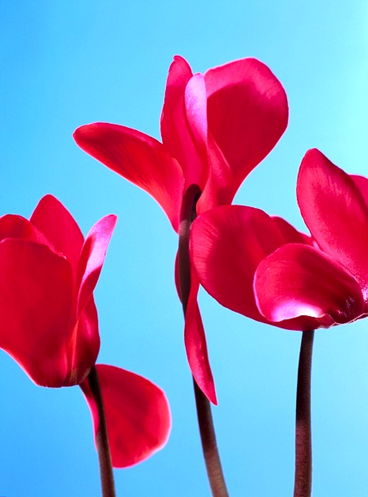 این تصاویر زیبا را ببینید!