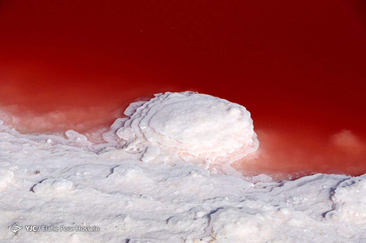 تصاویر: دریاچه صورتی در ایران