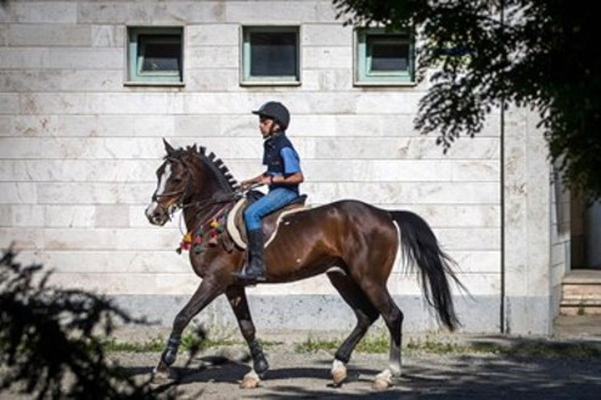 تصاویر: حراج اسب به نفع سیل زدگان