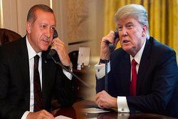 ترامپ با اردوغان رایزنی کرد