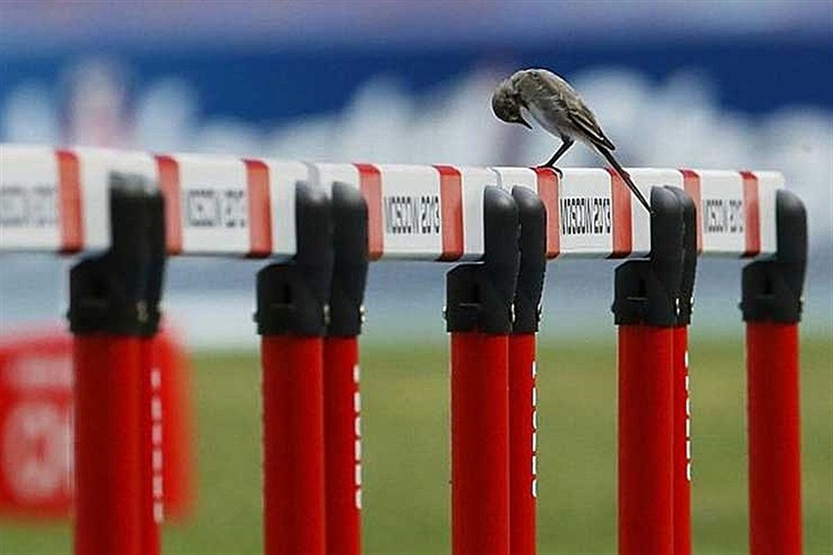 عکس/ بدون شرح!