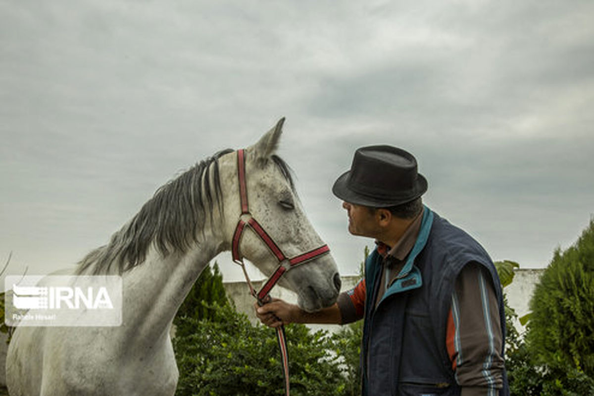 تصاویر: رییس بانکی که زندگی خود را وقف نگهداری از اسب‌ها کرده است