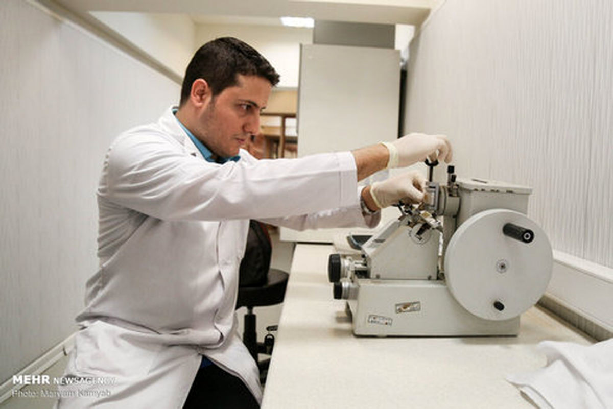 تصاویر: این بانک هوش از سرتان می‌پراند!