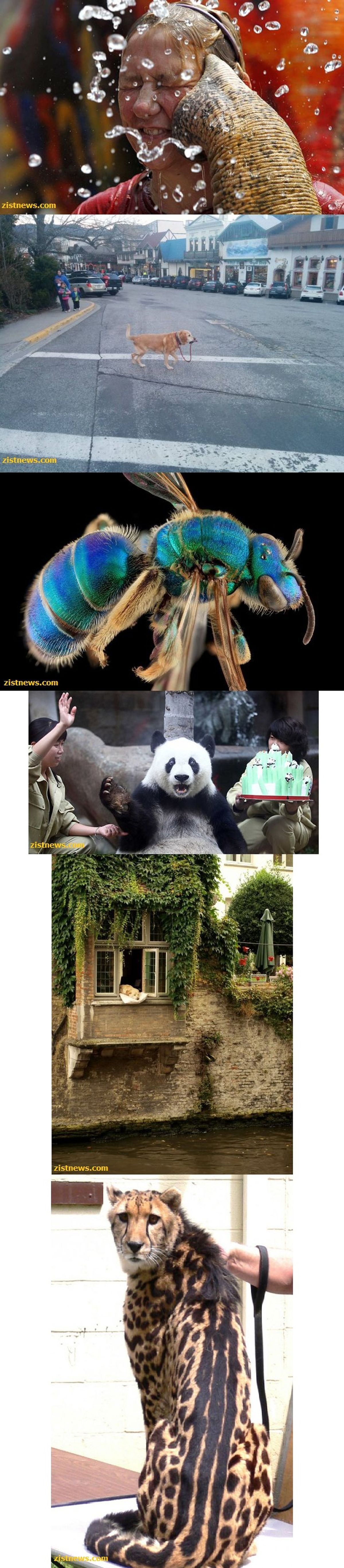 تصاویر/ بدون شرح