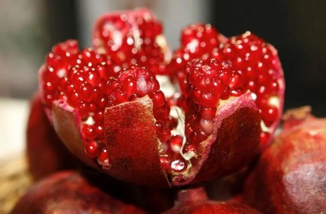 بهترین زمان خرید نهال انار چه زمانی است؟