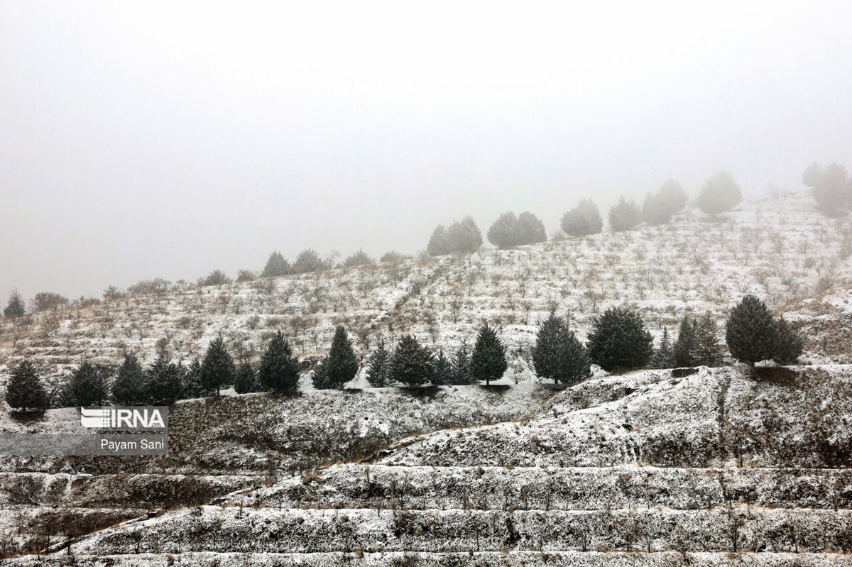 هم‌اکنون؛ بارش برف در شمال تهران | مردم از تردد غیر ضرور خودداری کنند