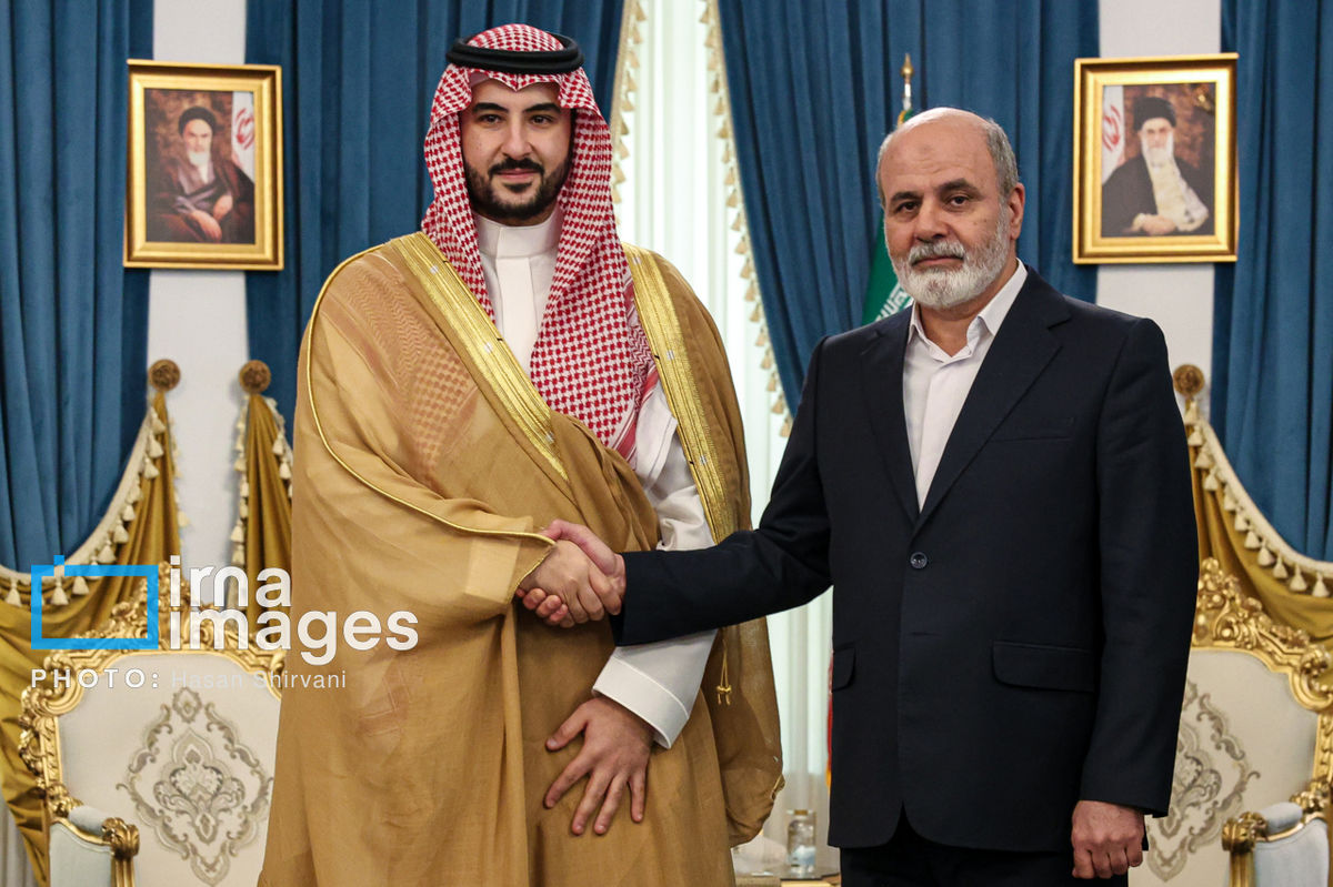 دیدار وزیر دفاع عربستان با دبیر شورای عالی امنیت ملی