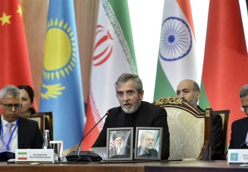 باقری کنی: «صلح از طریق زور» یعنی «تسلیم بجای توافق»