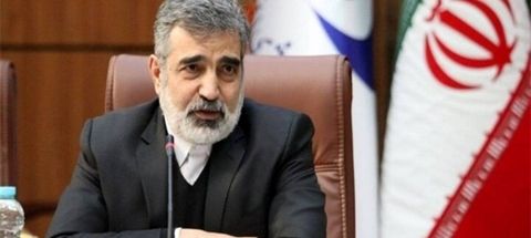 کمالوندی: در حال حاضر بازرسی نداریم