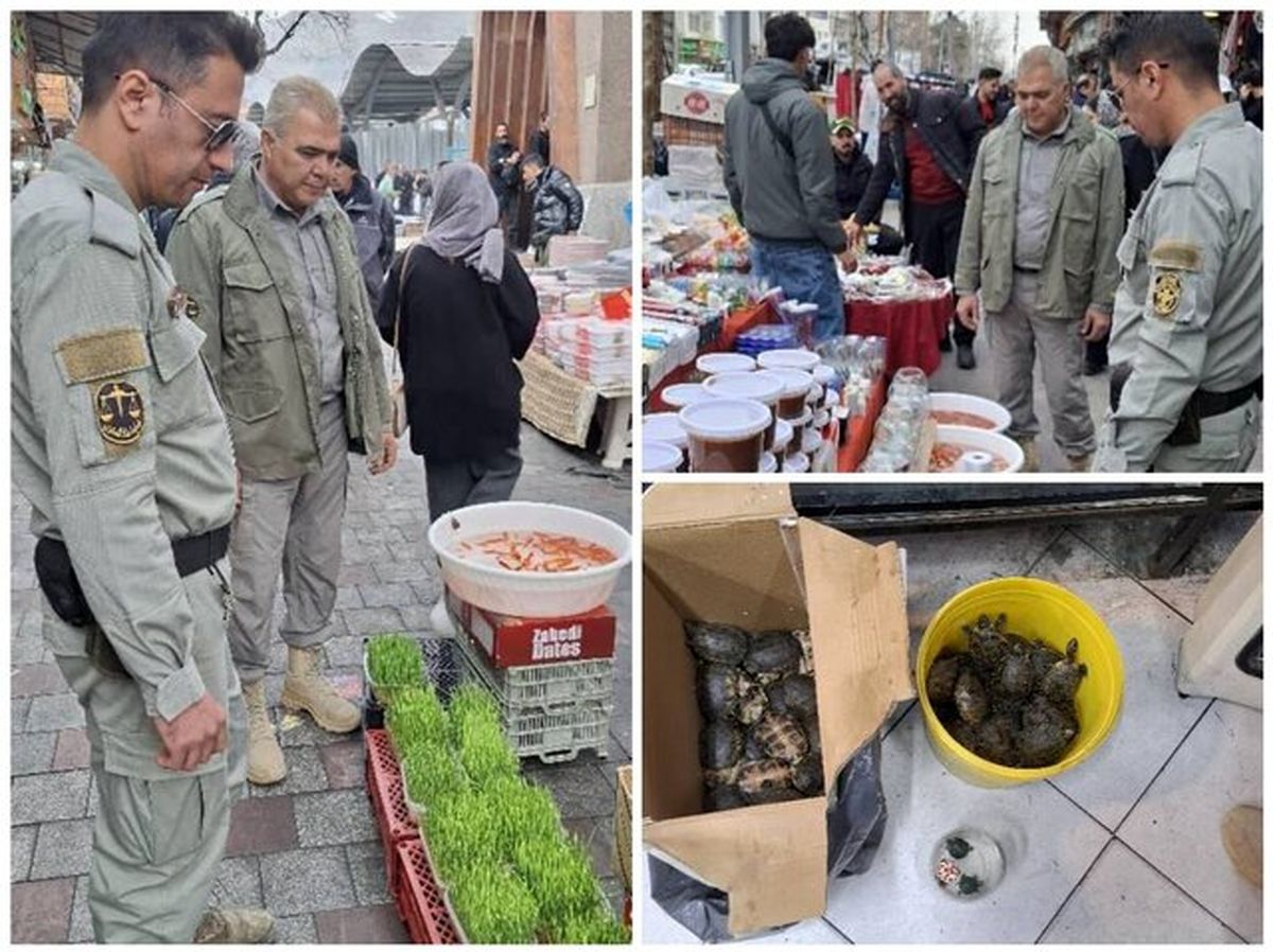 برخورد با خرید و فروش غیر مجاز گونههای جانوری در تهران