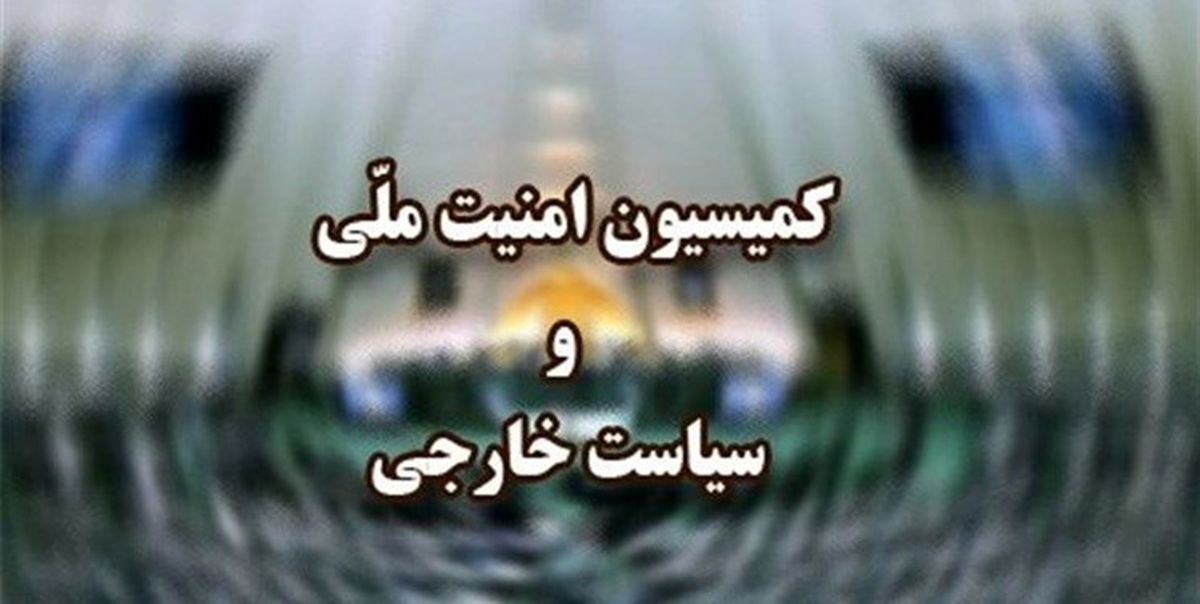 ورود تخصصی در کمیسیون امنیت ملی به آشوبهای اخیر