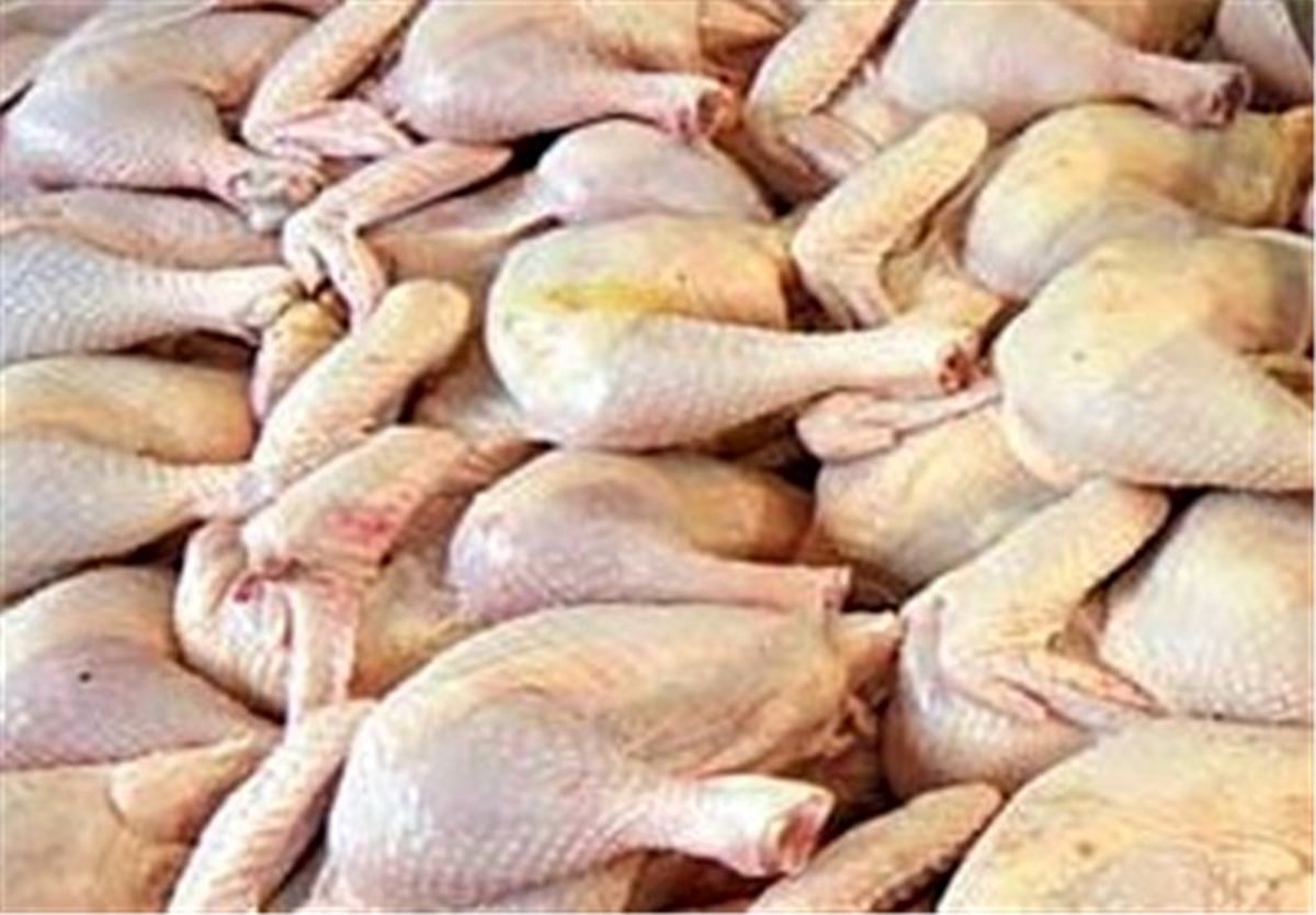 قیمت مرغ امروز ۲۷ شهریور ۱۴۰۴ | فیله مرغ کیلویی چند؟