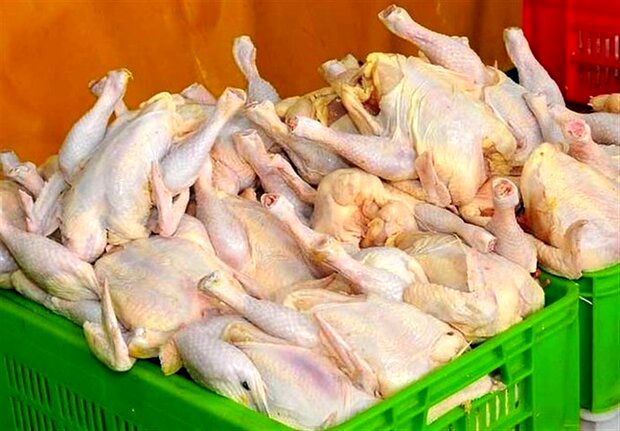 قیمت واقعی مرغ در بازار