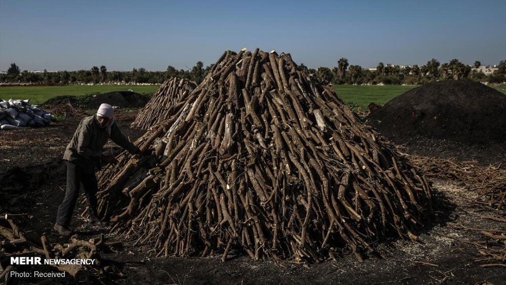 تصاویر: تولید زغال در غزه