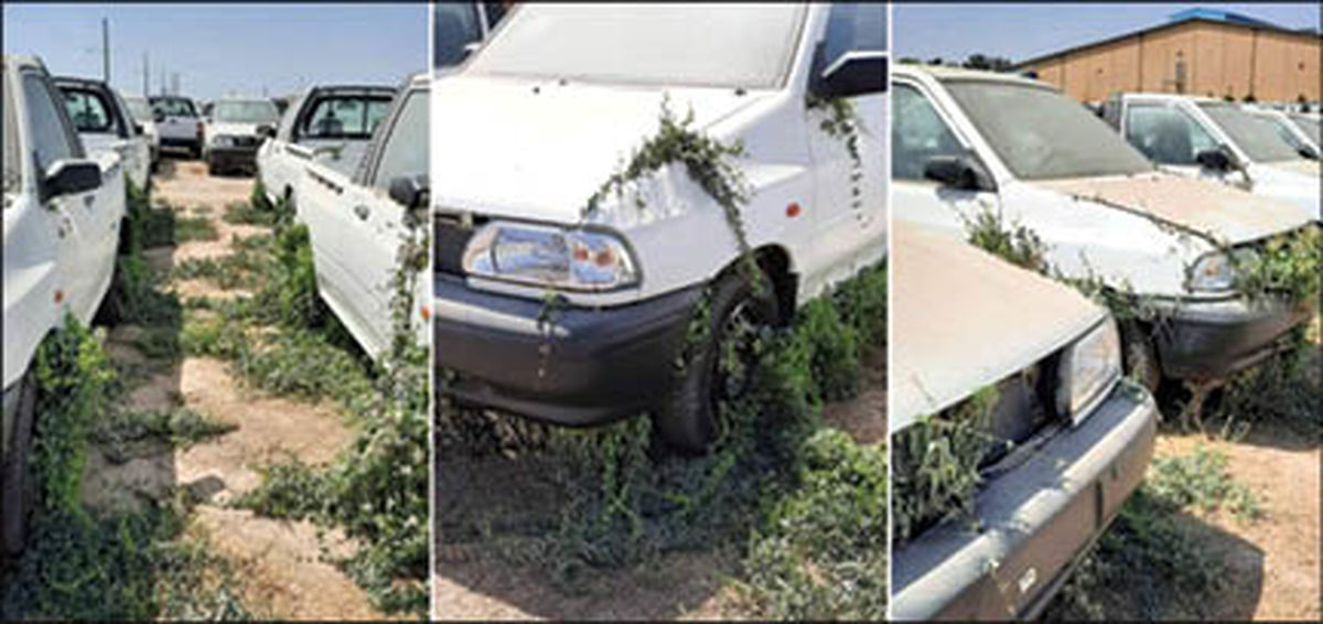 پرایدهایی که سبز شدند! +عکس