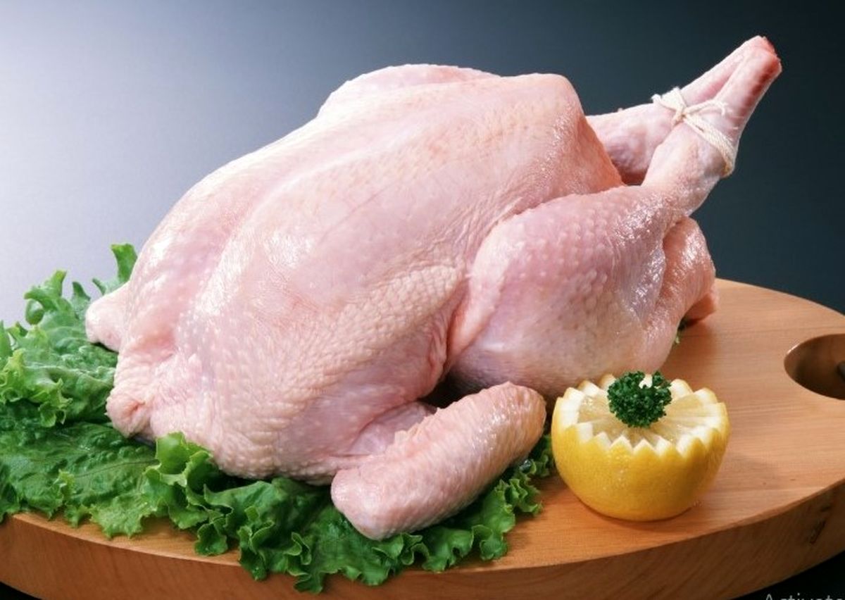 قیمت مرغ امروز ۳۰ مهر ماه ۱۴۰۴ | ران مرغ کیلویی چند؟