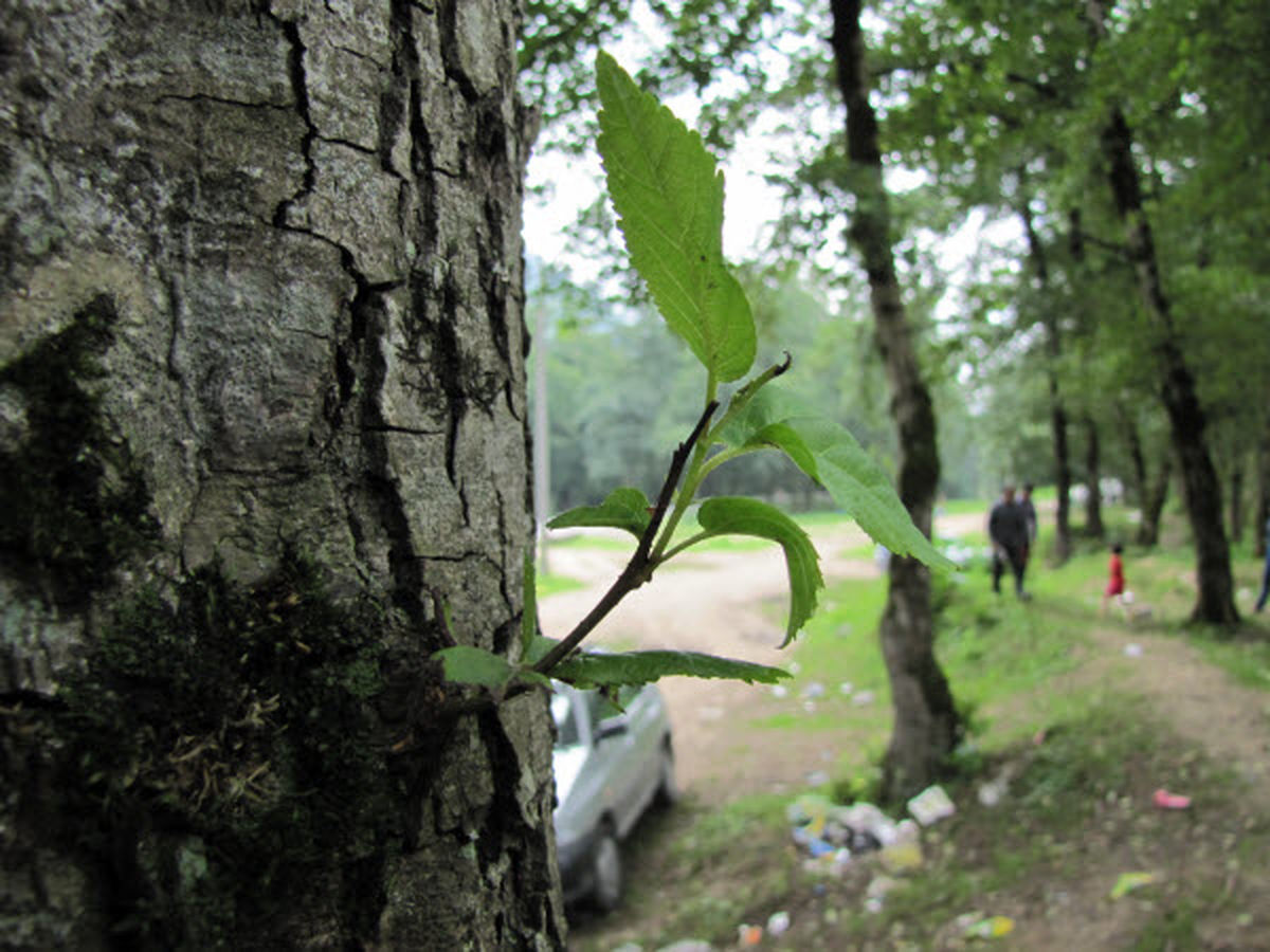 عکس/ نگاه متفاوت