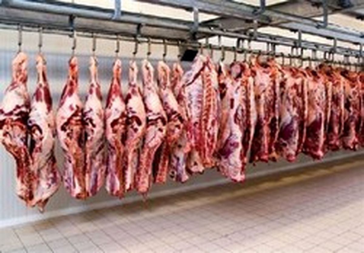اختیار «فروش اینترنتی گوشت» در دست گرانفروشان؟