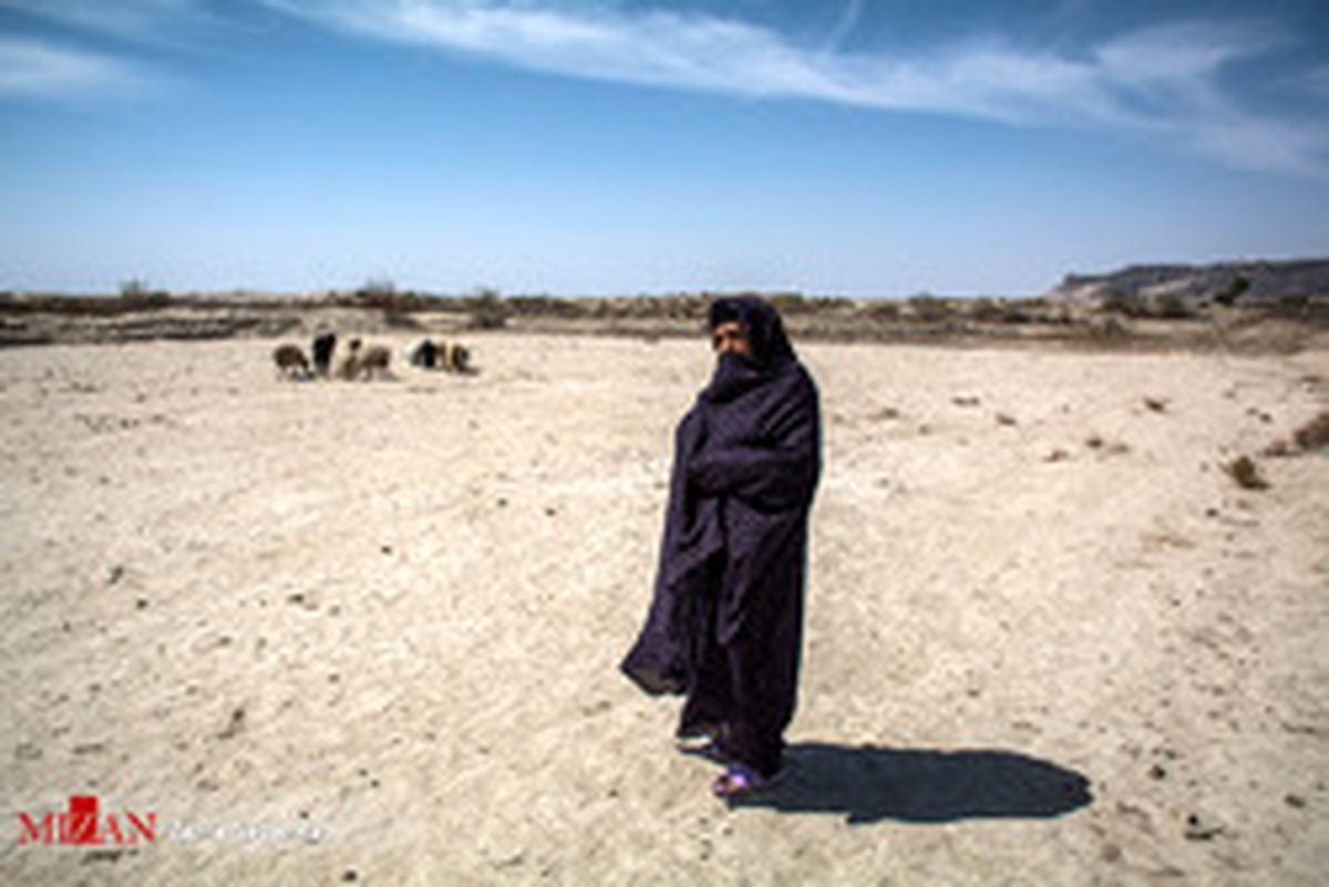 طوفان شن زابل چند نفر را راهی بیمارستان کرد؟