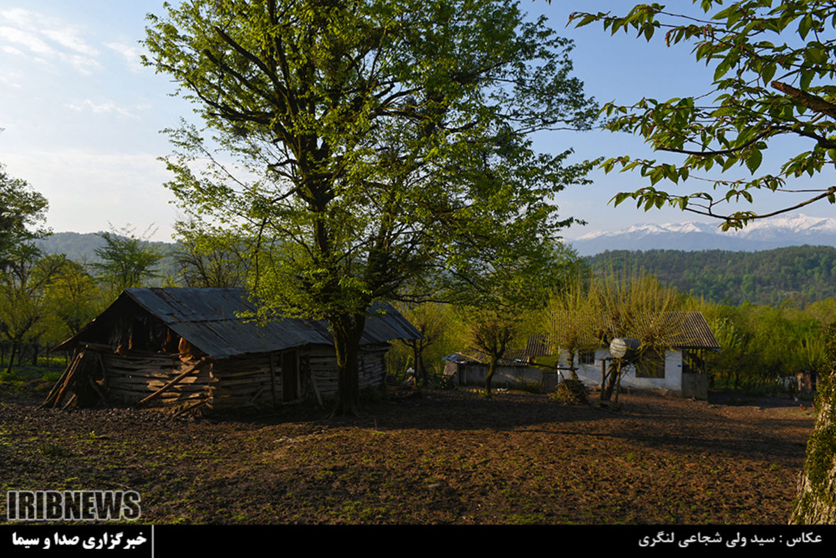 هفت آبشار سواد کوه +تصاویر