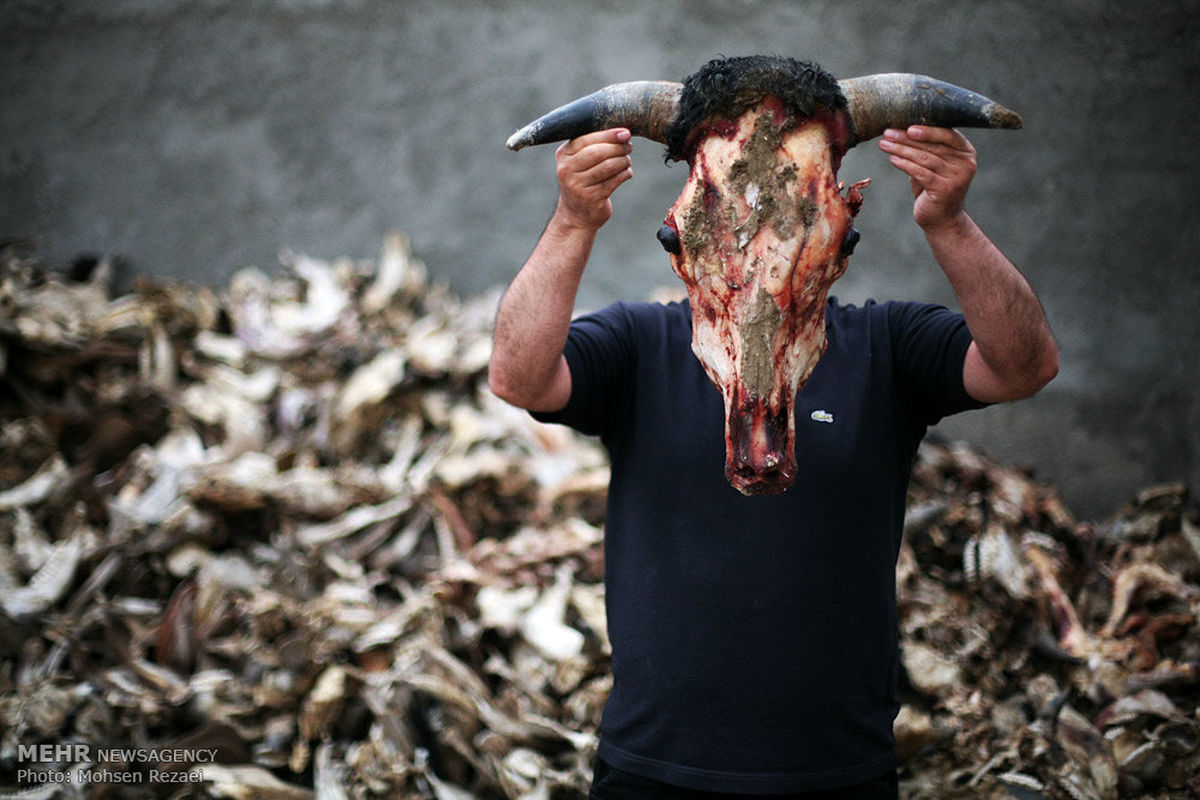 وضعیت دردناک بهداشت و سلامت در سیستان