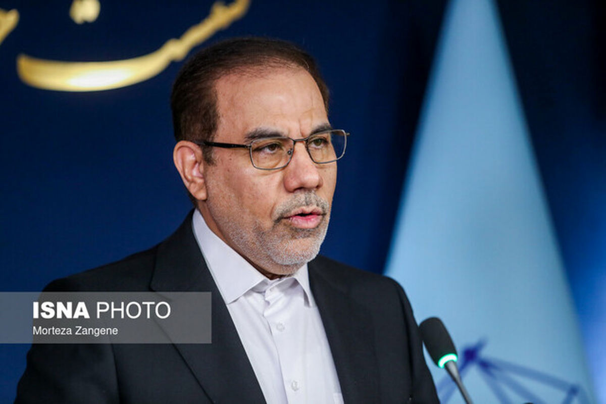 سخنگوی قوه قضاییه: با کسانی که امنیت روانی جامعه را برهم میزنند برخورد میشود