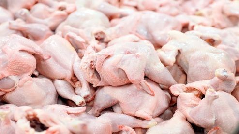 قیمت مرغ رفت روی کانال ۲۱ هزار تومان