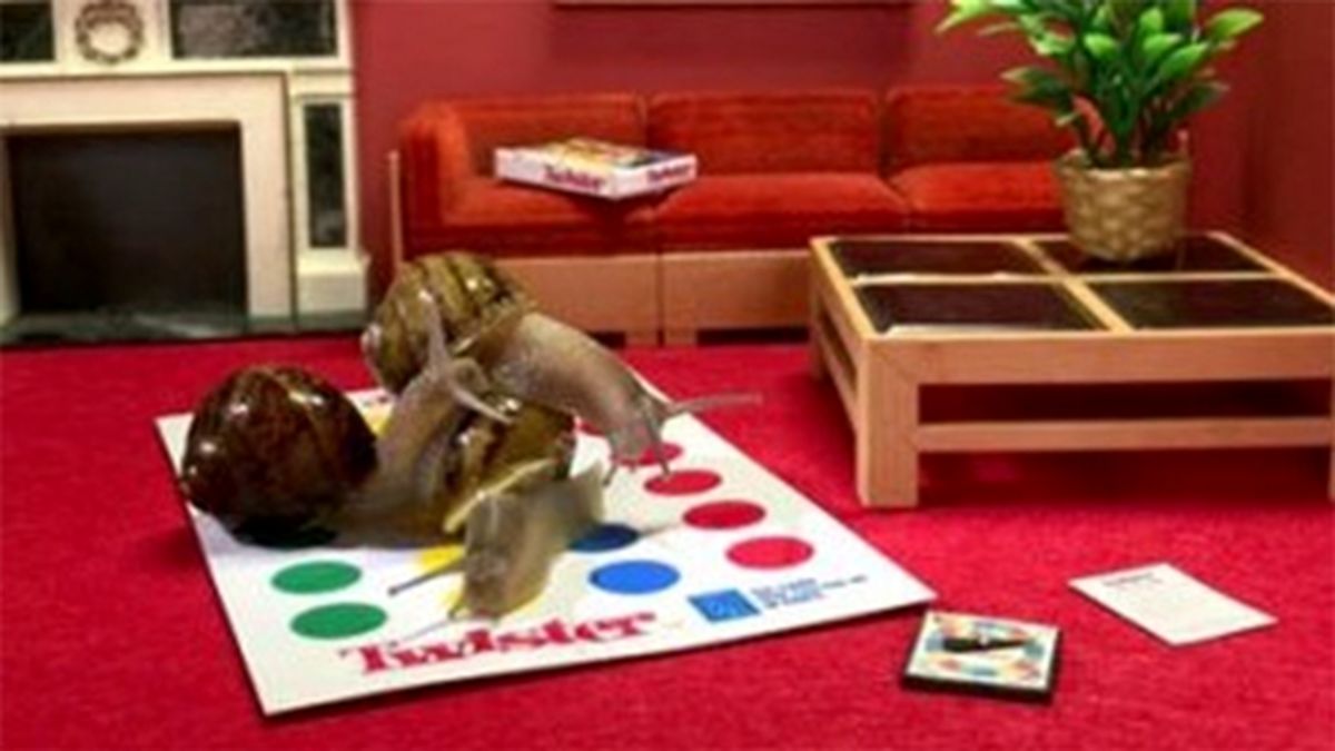 زندگی لاکچری یک حلزون پربیننده شد! + تصاویر