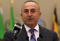 انتقاد شدید ترکیه از تصمیم وین