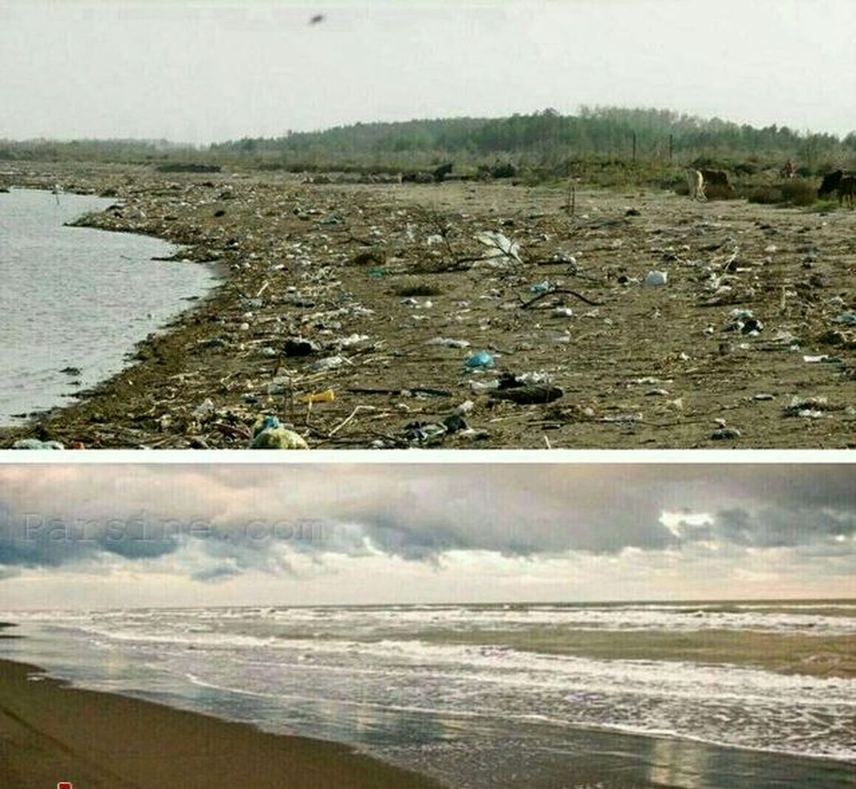 عکس: تفاوت ساحل روسیه و ایران