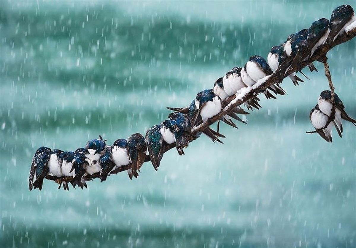 آب و هوای استان ها امروز۱۴ آبان | یخبندان در ۵ استان 