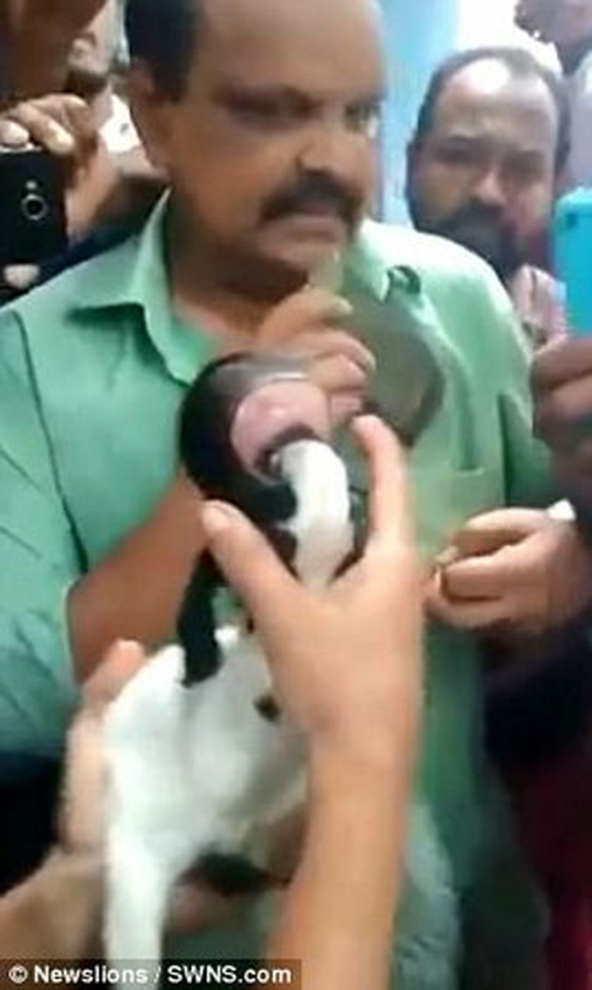 تولد بزغاله بدون چشم مردم را ترساند +تصاویر