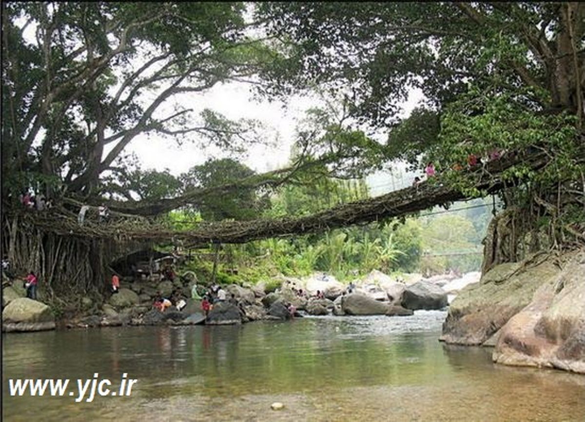 طبیعی ترین پل دنیا +تصاویر