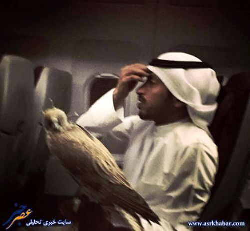عجیب ترین مسافر هواپیما/عکس