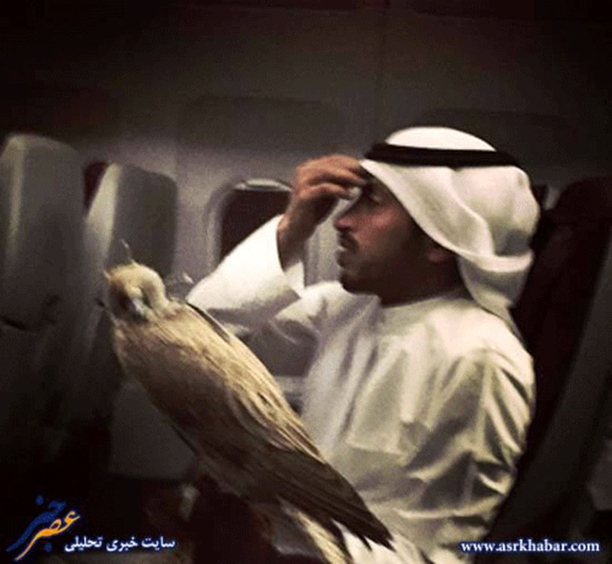 عجیب ترین مسافر هواپیما/عکس