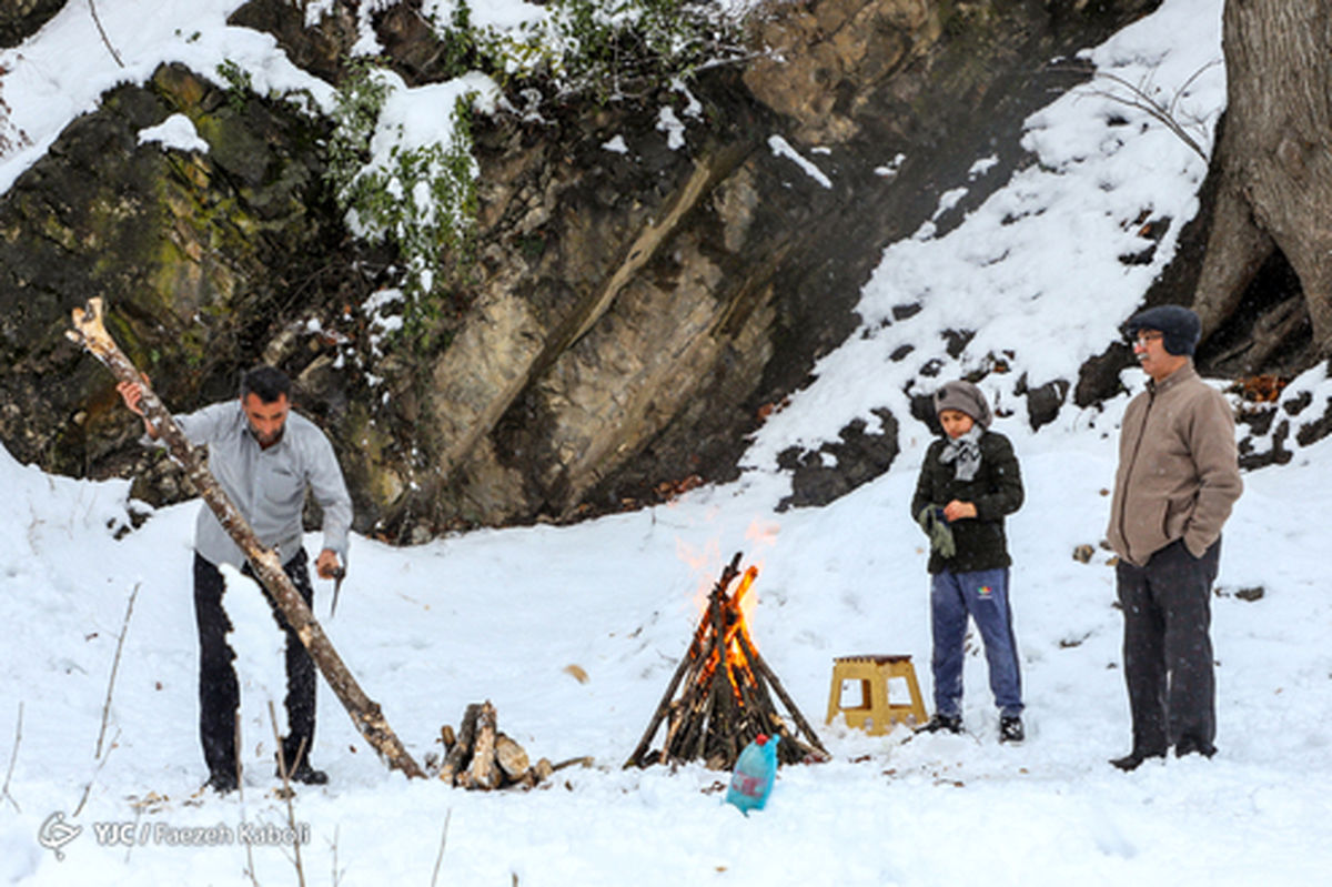 تصاویر: برف زمستانی در جنگل توسکستان