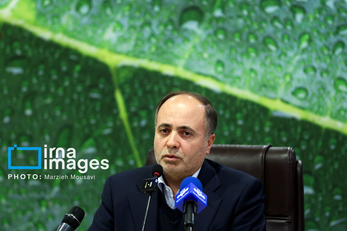 وزیر جهاد کشاورزی: نرخ برنج ایرانی به تعادل میرسد