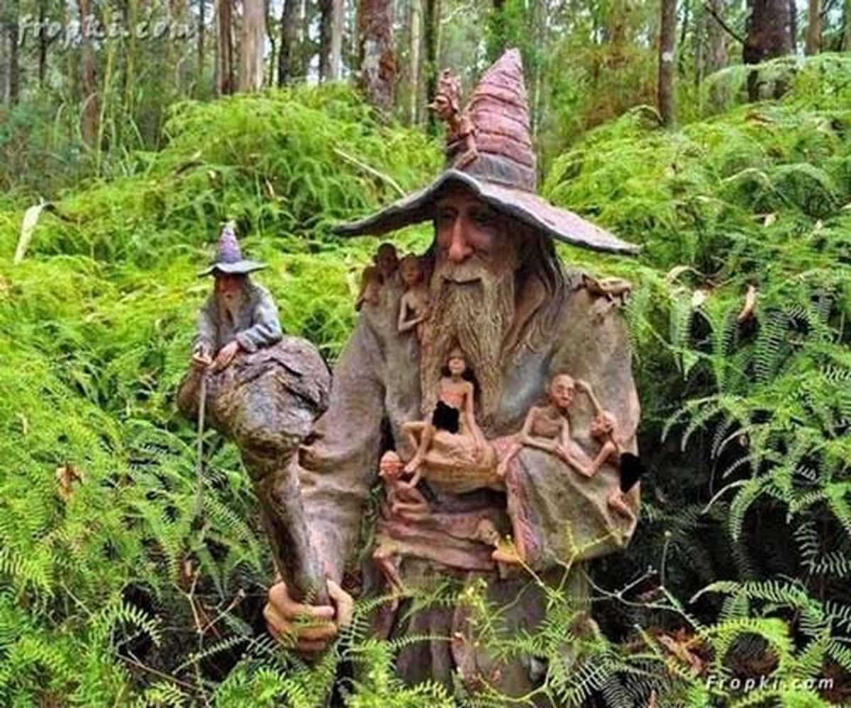 عکس/ هنرنمایی با تنه خشک درختان