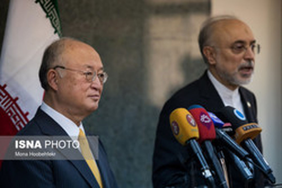 صالحی: آژانس اتمی از حاشیه سازی بدخواهان دوری کند