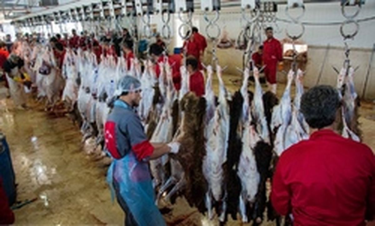 احتمال انتقال انگل از گوشتهای تازه
