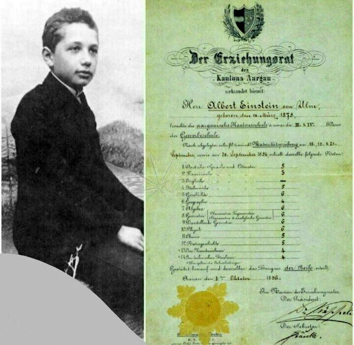 كارنامه آلبرت انيشتين +عکس