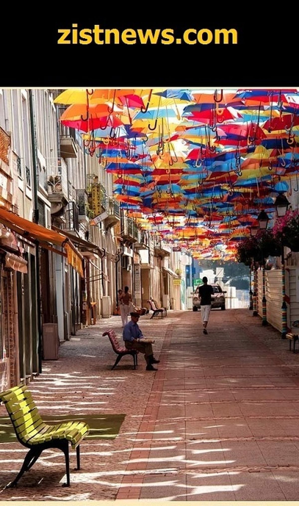 خیابان چترها!/عکس