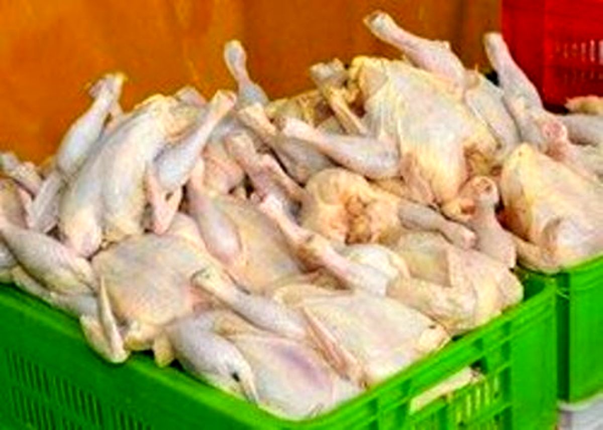 قیمت هر کیلو مرغ به ۱۲ هزار و ۹۰۰ تومان رسید
