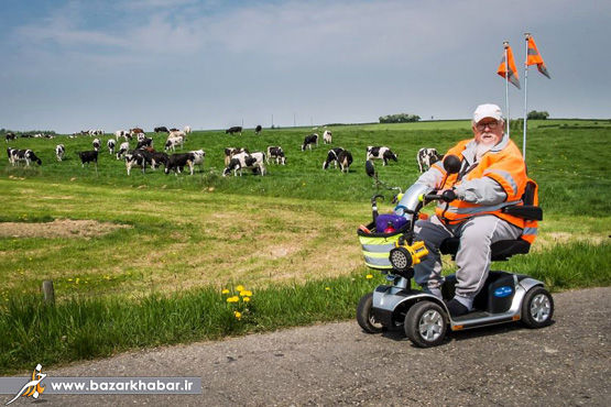 گله داری مدرن/عکس